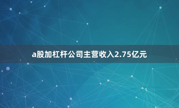 a股加杠杆公司主营收入2.75亿元