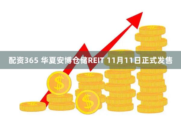 配资365 华夏安博仓储REIT 11月11日正式发售