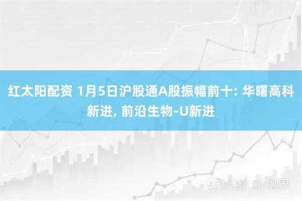 红太阳配资 1月5日沪股通A股振幅前十: 华曙高科新进, 前沿生物-U新进