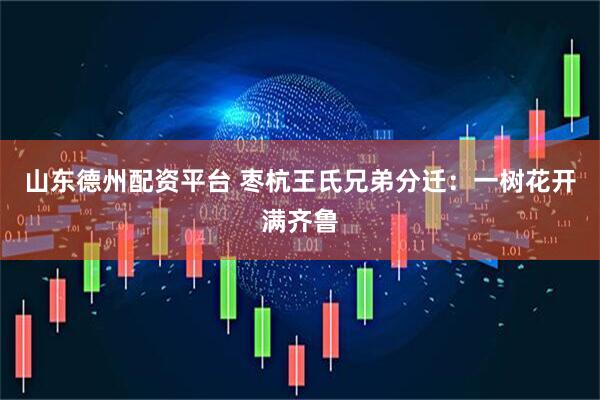 山东德州配资平台 枣杭王氏兄弟分迁：一树花开满齐鲁