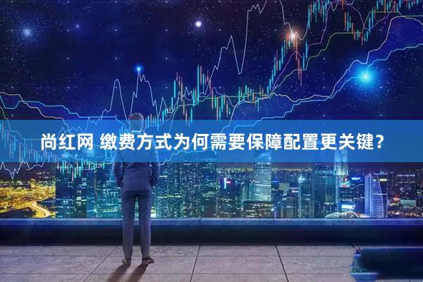 尚红网 缴费方式为何需要保障配置更关键？